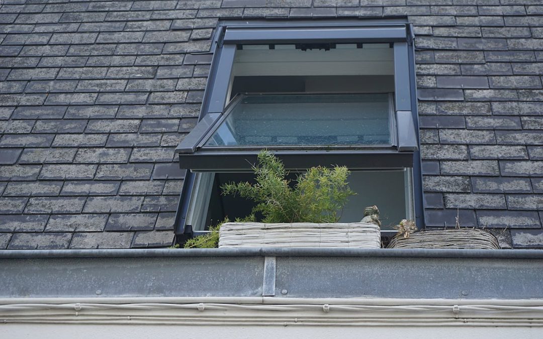 Roof Repairs